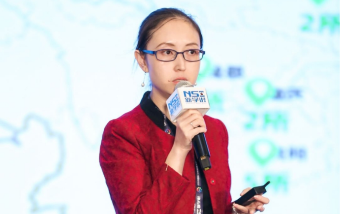 IICE Professor TENG Jun’s Speech at 2019 VIS International School Development Conference in Beijing